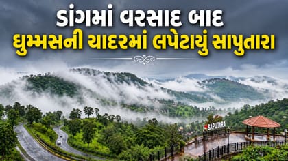 Saputara weather: ડાંગમાં વરસાદ બાદ કુદરતનું સૌંદર્ય ખીલી ઊઠ્યું