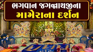 સરસપુરમાં જગન્નાથજી, સુભદ્રાજી અને બળદેવજીના મામેરાના દર્શનાર્થે ભક્તો ઉમટ્યા, જુઓ Video