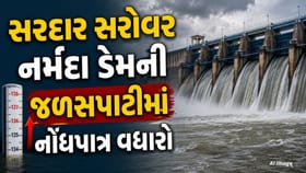 ગુજરાત માટે સારા સમાચાર! નર્મદા ડેમમાં 24 કલાકમાં 24 સેમીનો વધારો