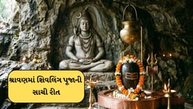 શ્રાવણમાં આ રીતે કરો શિવલિંગ પૂજા, ભોળાનાથ પૂરી કરશે ઈચ્છાઓ