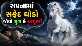 સપનામાં સફેદ ઘોડો જોવો કેવા સંકેત આપે છે? 'સ્વપ્ન શાસ્ત્ર' શું કહે છે?