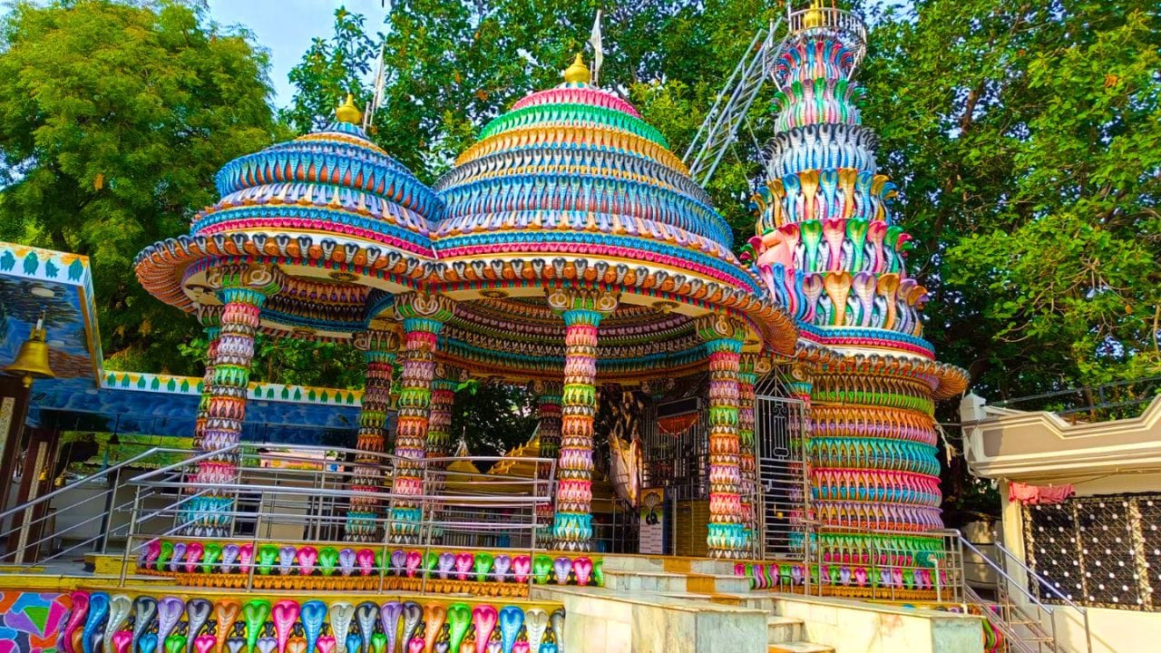 શેભર ગોગા મહારાજનું મંદિર પ્રાચીન નાગર શૈલીના કોતરકામ માટે પણ પ્રસિદ્ધ છે. મંદિરના થાંભલા, દીવાલો અને શિલ્પોમાં કરવામાં આવેલું કળાત્મક કોતરકામ તેની ભવ્યતા વધારી દે છે. મંદિરના નિર્માણમાં ઉપયોગમાં લેવાયેલ કળા અને સ્થાપત્ય આજે પણ લોકોને આશ્ચર્યચકિત કરી દે છે. અહીંના દરેક ભાગમાં પ્રાચીન ભારતીય શિલ્પકળાની ઝાંખી જોવા મળે છે.