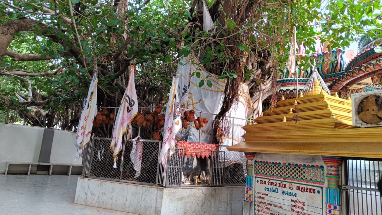 શેભર ગોગા મહારાજનું મંદિર માત્ર આસ્થાનું કેન્દ્ર જ નહીં, પરંતુ કુદરતી સૌંદર્ય, પ્રાચીન ઇતિહાસ અને અદભૂત શિલ્પકલાનું અનોખું સંગમ છે. સરસ્વતી નદીના પવિત્ર કિનારે અને હરિયાળા ડુંગરોની વચ્ચે આવેલું આ ધામ ભક્તોને શાંતિ, શ્રદ્ધા અને આધ્યાત્મિક શક્તિનો દિવ્ય અનુભવ કરાવે છે. મંદિરનું પ્રાચીન કોતરકામ, શાંત વાતાવરણ અને ગોગા મહારાજ પ્રત્યેની અખંડ આસ્થા તેને ઉત્તર ગુજરાતના સૌથી પવિત્ર અને દર્શનીય ધાર્મિક સ્થળોમાં સ્થાન અપાવે છે. અહીં આવનાર દરેક ભક્ત જીવનમાં સુખ, શાંતિ અને ગોગા મહારાજના આશીર્વાદનો અમૂલ્ય અનુભવ લઈને પરત ફરે છે. ( આ માહિતી વિવિધ ઐતિહાસિક તથ્યો અને સંશોધનો પર આધારિત છે. વિગતવાર માહિતી માટે, ઇતિહાસના પ્રમાણભૂત ગ્રંથો અને સંશોધનોનો અભ્યાસ કરવો ઉચિત રહેશે.)