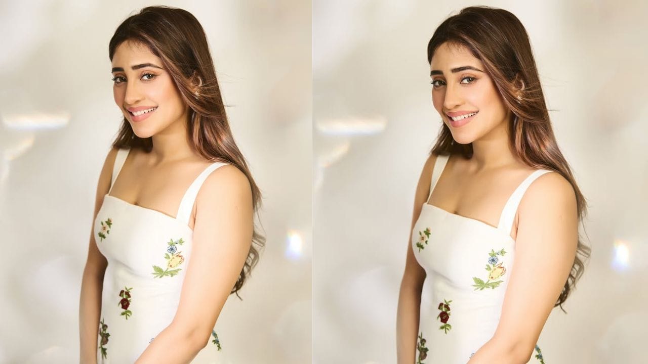 ત્યારબાદ બાલિકા વધુ 2 (2021-2022)માં આનંદી ચતુર્વેદી, બરસતેં - મૌસમ પ્યાર કા (2023-2024) માં આરાધના સાહનીની અને બડે અચ્છે લગતે હૈં 4 (2025) માં ભાગ્યશ્રીની ભૂમિકા ભજવી હતી.