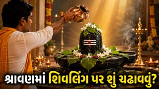 શ્રાવણમાં શિવલિંગ પર ચઢાવો આ 5 પવિત્ર વસ્તુઓ! મહાદેવ થશે પ્રસન્ન, ઘરમાં આવશે સુખ, શાંતિ અને સમૃદ્ધિ