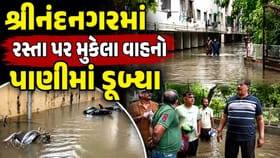 શ્રીનંદનગરમાં બેઝમેન્ટમાં પાણી ભરાઈ જતા લોકોના વાહનો ડૂૂબ્યા- Video