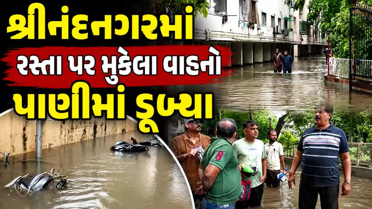 અમદાવાદમાં શ્રીનંદનગર પાસે વરસાદ ઓછો થયાના કલાકો બાદ પણ પાણી ભરાયેલા, ધારાસભ્ય અમિત ઠાકરે સ્થિતિની સમીક્ષા કરી- Video