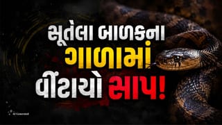 Viral Video: સૂતો હતો બાળક, ગળામાં લપેટાઈ ગયો સાપ, પછી શું થયુ જુઓ Videoમાં