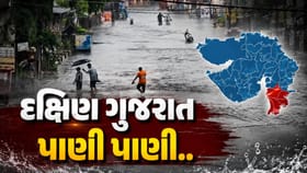 દક્ષિણ ગુજરાતના રસ્તાઓ પર પાણી પાણી, જુઓ Video