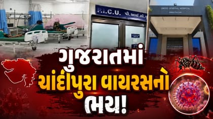 ગુજરાતમાં ચાંદીપુરા વાયરસનો ભય! હિંમતનગરમાં છ વર્ષના બાળકનું મૃત્યુ