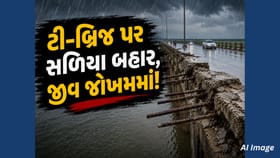 ભરૂચ-અંકલેશ્વર ટી-બ્રિજ પર મોટું ગાબડું, સળિયા બહાર, વાહનચાલકો જોખમમાં