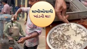 ખાંડ પર બણબણતી માખીઓ છતાં પીરસી ચા, જુઓ વીડિયો