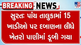 સુરત જિલ્લામાં 15 ખાડીના પાણી આજુબાજુના ખેતરોમાં ફરી વળ્યાં, જુઓ VIDEO