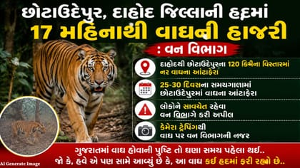 છોટાઉદેપુર-દાહોદમાં વાઘ સ્થાયી થયો, વન વિભાગે લોકોને એલર્ટ કર્યું