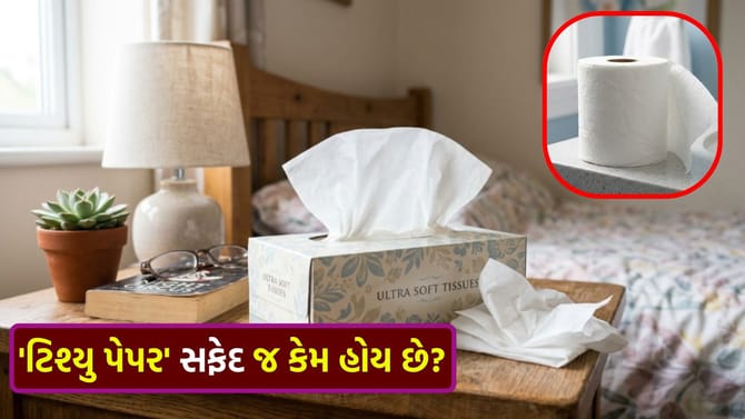 દરેક જગ્યાએ વપરાતા 'ટિશ્યુ પેપર' મોટાભાગે 'સફેદ' જ કેમ હોય છે?