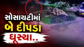 ગીર સોમનાથના ઊનામાં દીપડાનો આતંક