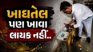 હવે ખાદ્યતેલ પણ ખાવા લાયક ન રહ્યું… વડોદરામાં શંકાસ્પદ તેલ જપ્ત, આરોગ્ય વિભાગની મોટી કાર્યવાહી