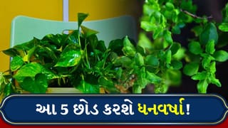 આ 5 છોડ ઘરમાં લગાવતા જ વધશે સુખ-સમૃદ્ધિ! વાસ્તુ મુજબ ધનની થશે વર્ષા
