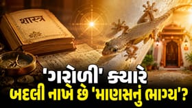 'ગરોળી' આપશે રાજા જેવું 'સુખ' અને 'અઢળક ધન', જાણો શાસ્ત્રોના નિયમો