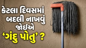 કેટલા દિવસમાં બદલી નાખવું જોઈએ પોતુ ? આ જાણી લો