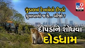 અમદાવાદના ઘુમા વિસ્તાર બાદ ઝુંડાલમાં દેખાયો દીપડો, સ્થાનિકોમાં ફફડાટ