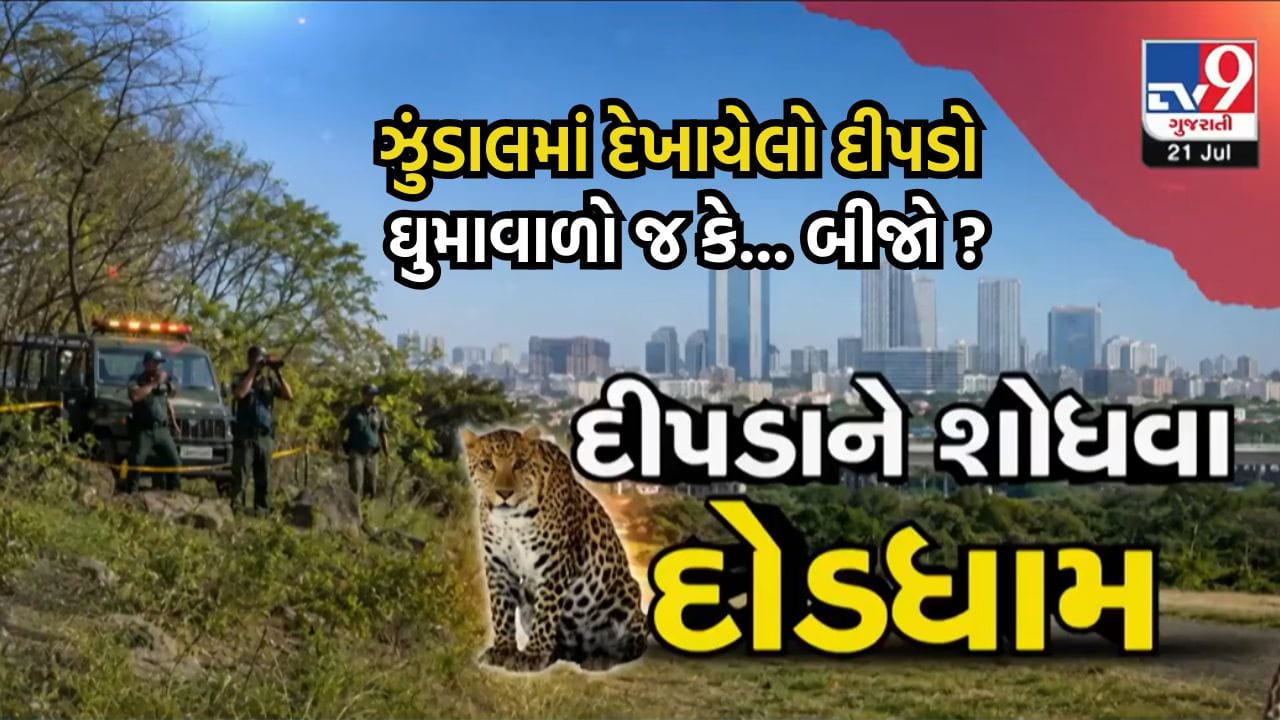 અમદાવાદના ઘુમા બાદ ઝુંડાલમાં પણ દીપડો દેખાયો હોવાનો દાવો, એક જ દીપડો છે કે બીજો... વન વિભાગ પણ અવઢવમાં! અમદાવાદના ઘુમા બાદ ઝુંડાલમાં પણ દીપડો દેખાયો હોવાનો દાવો, એક જ દીપડો છે કે બીજો... વન વિભાગ પણ અવઢવમાં!