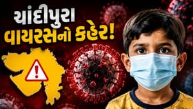 ગુજરાતમાં ચાંદીપુરાનો કહેર! 450 થી વધુ સેન્ડફ્લાય માખીઓ પકડવામાં આવી
