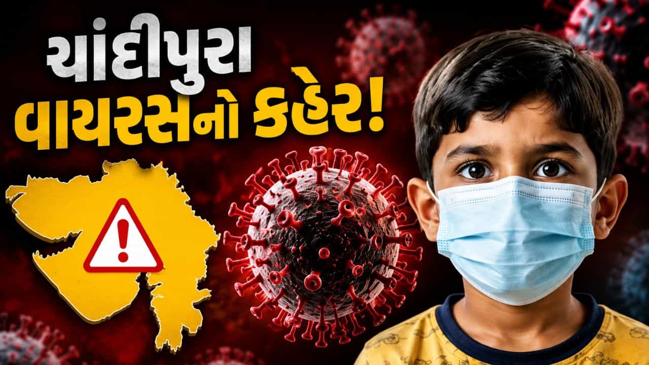 ગુજરાતમાં ચાંદીપુરા વાયરસનો કહેર! અનેક જિલ્લાઓમાં હાઈ એલર્ટ, આરોગ્ય તંત્ર એક્શનમાં