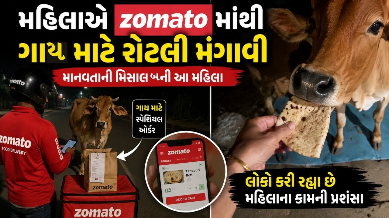Trending Video : Zomatoમાંથી ગાય માટે રોટલી મંગાવી, મહિલાની માનવતા જીતી દિલ ગઈ