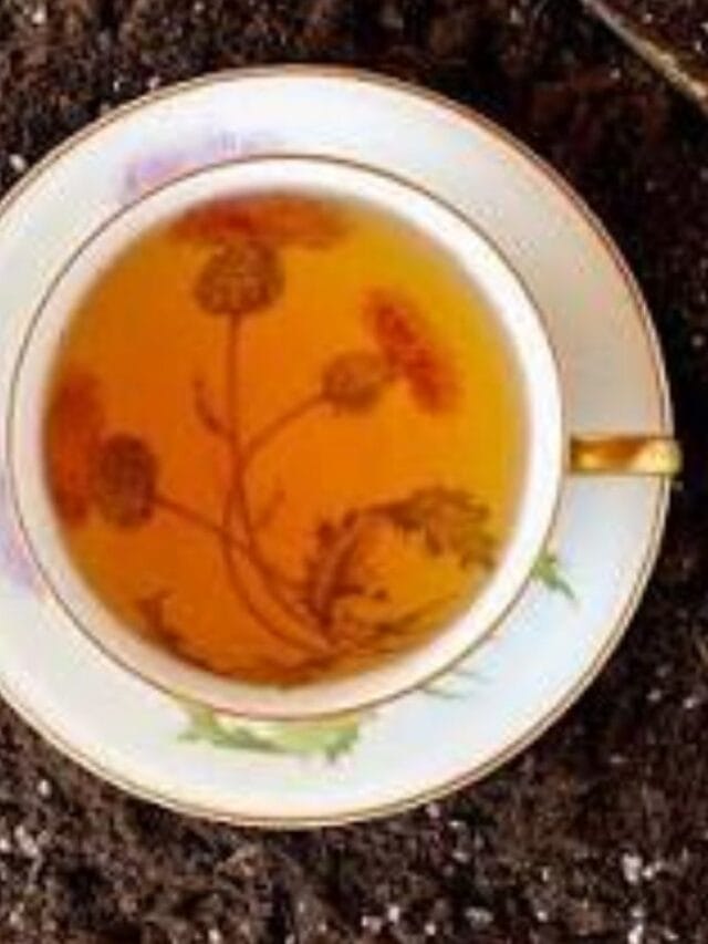 Tips And Tricks: વધેલી ચાની પત્તીઓને કચરો ન ગણો, તેનો આ રીતે કરો ઉપયોગ