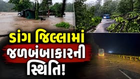 ડાંગ જિલ્લામાં મેઘરાજાએ બોલાવી ધબધબાટી! 14 ઈંચથી વધુ વરસાદથી જનજીવન ઠપ