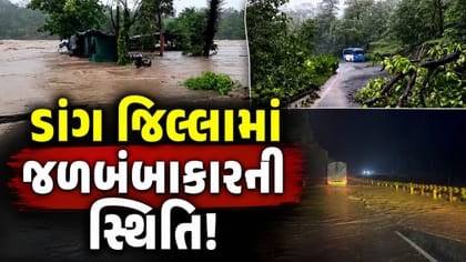 ડાંગ જિલ્લામાં મેઘરાજાએ બોલાવી ધબધબાટી! 14 ઈંચથી વધુ વરસાદથી જનજીવન ઠપ
