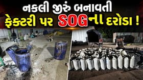 મહેસાણાના ઊંઝામાં નકલી જીરું બનાવતી ફેક્ટરી પર SOGના દરોડા