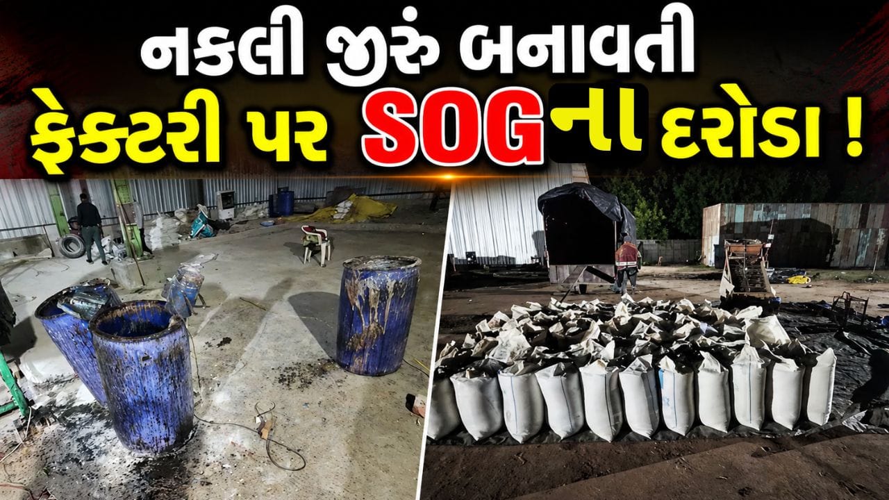 Mehsana Breaking News : ઊંઝામાં નકલી જીરું બનાવતી ફેક્ટરી પર SOGના દરોડા, રૂ. 6.76 લાખનો મુદ્દામાલ જપ્ત Mehsana Breaking News : ઊંઝામાં નકલી જીરું બનાવતી ફેક્ટરી પર SOGના દરોડા, રૂ. 6.76 લાખનો મુદ્દામાલ જપ્ત