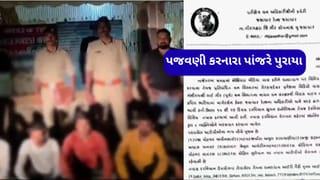 સિંહની પજવણી કરનારા 8 ને પાંજરે પુરતુ વન વિભાગ, સોશિયલ મીડિયામાં વાયરલ થયેલા પજવણીના વીડિયોમાં દેખાયા