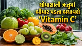 રોજ ખાવાનું રાખો 'Vitamin C' થી ભરપૂર આ 'હેલ્ધી ફૂડ્સ'