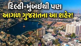 દેશમાં ગુજરાતનો ડંકો ! કમાણી અને ખર્ચ મામલે દિલ્હી-મુંબઈથી પણ આગળ આ 3 શહેર