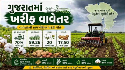 ગુજરાતમાં સૌથી વધુ કપાસ- મગફળીનું કરાયું વાવેતર