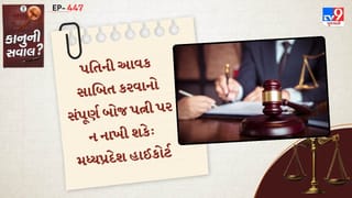 કાનુની સવાલ : મધ્ય પ્રદેશ હાઈકોર્ટે હ્યું ટ્રાયલ કોર્ટના પતિની આવક સાબિત કરવાનો પુરો બોજ પત્ની પર મૂકી શકાતો નથી
