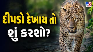 Leopard Safety Tips : દીપડાથી બચવા શું કરવું? દરેકે જાણવી જોઈએ આ મહત્વની સાવચેતીઓ