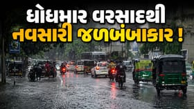 નવસારીમાં જળબંબાકારની સ્થિતિ ! 42 જેટલા રસ્તા કરાયા બંધ, જુઓ-Video