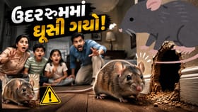 ઉંદર રૂમમાં ઘૂસી ગયો, લોકોએ કહ્યું બિચારો ફસાઈ ગયો