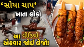 ફેક્ટરીમાં આવી રીતે બને છે 'સોયા ચાપ'! વીડિયો જોઈ ખાવાનું ભૂલી જશો