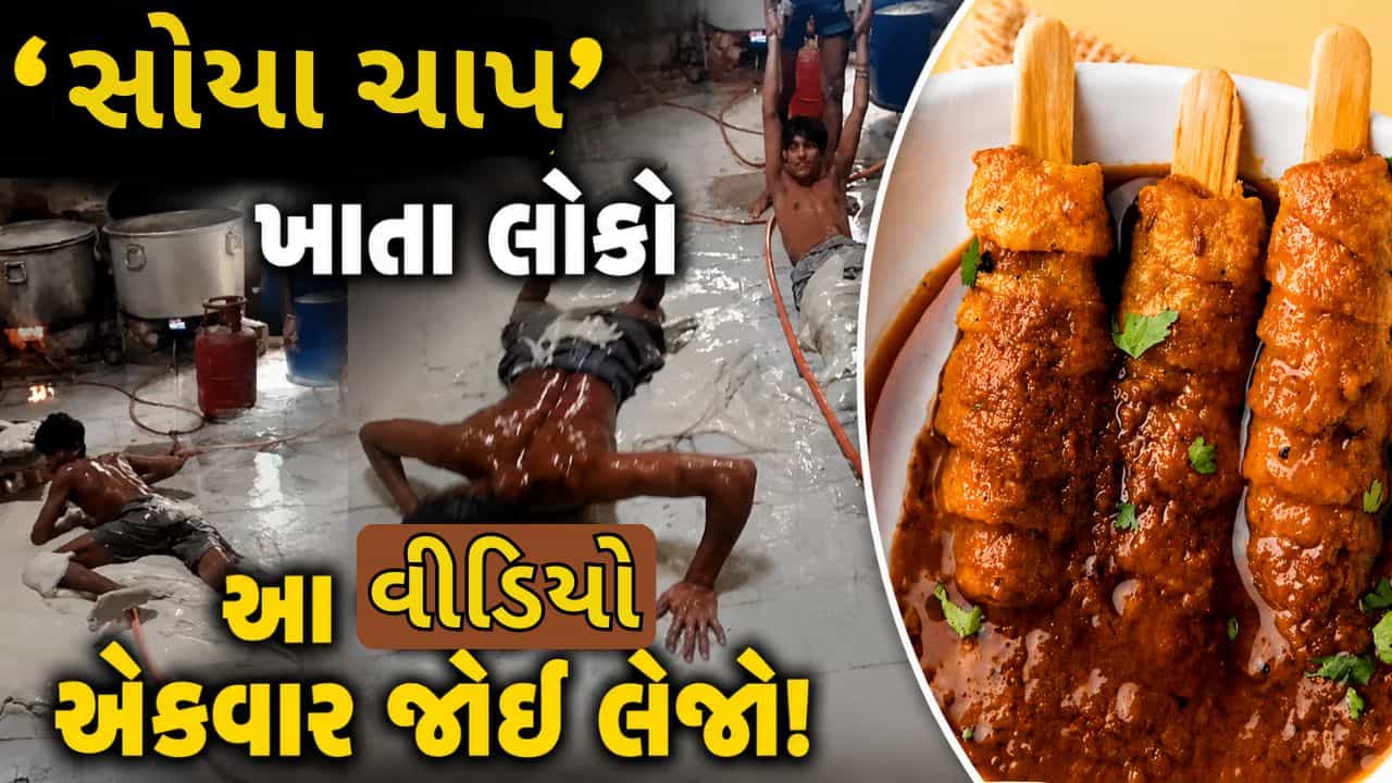 Trending Video: ફેક્ટરીમાં આવી રીતે તૈયાર થાય છે સોયા ચાપ! વીડિયો જોઈ લેશો તો ખાવાનું ભૂલી જશો