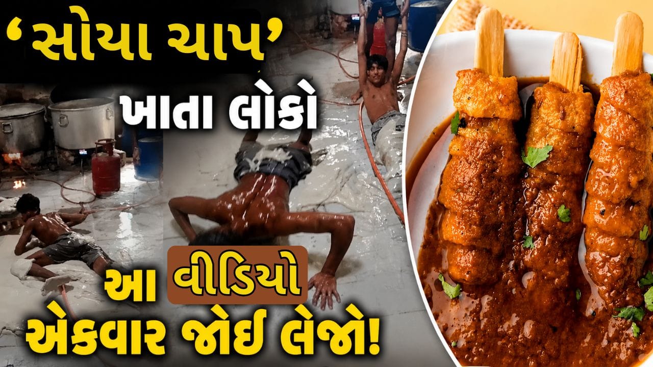 Trending Video: ફેક્ટરીમાં આવી રીતે તૈયાર થાય છે 'સોયા ચાપ'! વીડિયો જોઈ લેશો તો ખાવાનું ભૂલી જશો