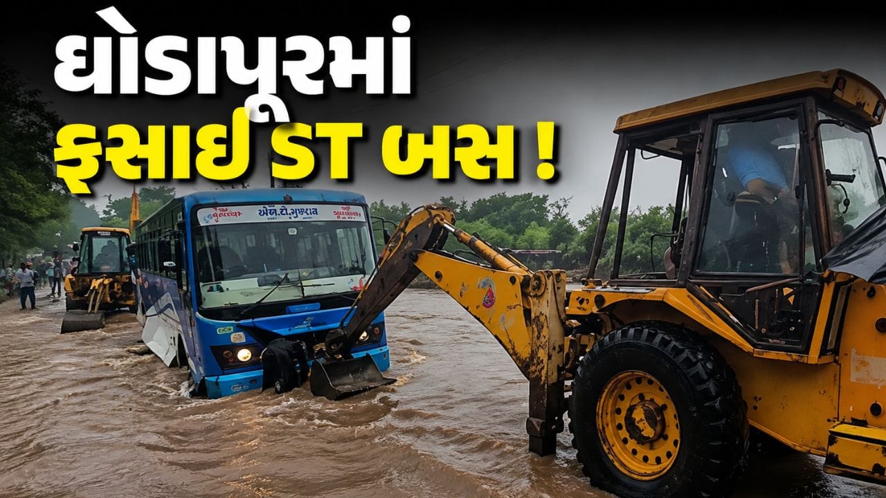 Junagadh Breaking News : માળિયા હાટીમાં વરસાદનો કહેર ! પુલ પર ફસાઈ ST બસ, સામે આવ્યો-Video Junagadh Breaking News : માળિયા હાટીમાં વરસાદનો કહેર ! પુલ પર ફસાઈ ST બસ, સામે આવ્યો-Video