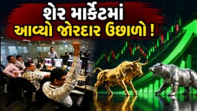 અઠવાડિયાના પહેલા જ દિવસે શેર માર્કેટ ઉછળ્યું ! જાણો કારણ