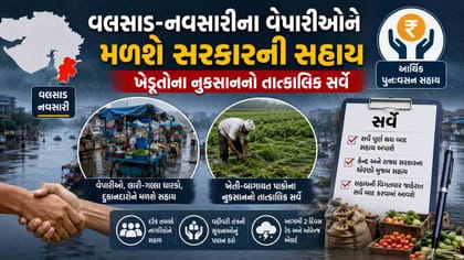 ખેતી-બાગાયત પાક ક્ષેત્રે પૂર-વરસાદથી થયેલા નુકસાનીનો સરવે હાથ ધરાશે
