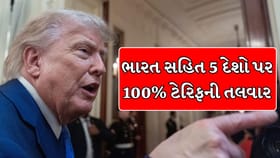 ભારત સહિત 5 દેશો પર 100% ટેરિફ લાગશે !