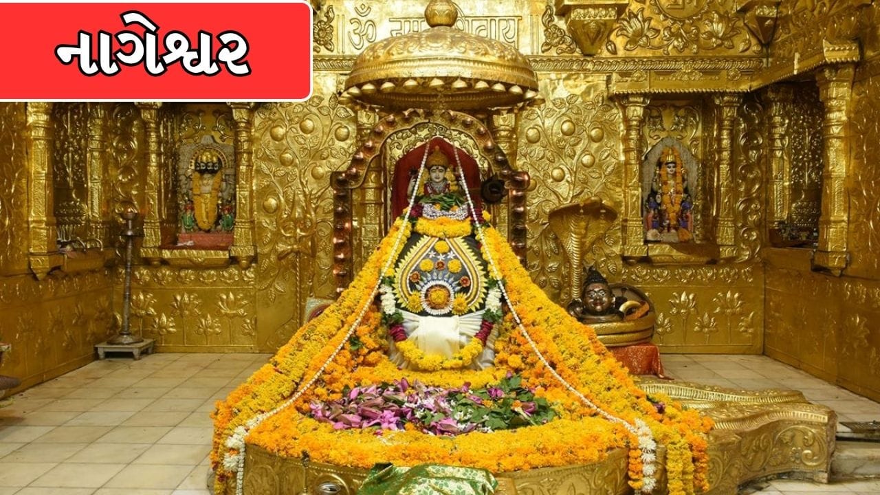 નાગેશ્વર: ગુજરાતના નાગેશ્વરમાં ભક્ત સુપ્રિયાની રક્ષા કરવા અને દારુક રાક્ષસનો સંહાર કરવા માટે ભગવાન શિવજી નાગેશ્વર જ્યોતિર્લિંગ સ્વરૂપે પ્રગટ થયા હતા. (Image Source | Blessingsonthenet)